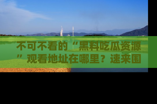 不可不看的“黑料吃瓜资源”观看地址在哪里？速来围观吧！
