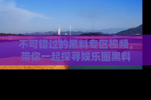 不可错过的黑料专区视频，带你一起探寻娱乐圈黑料
