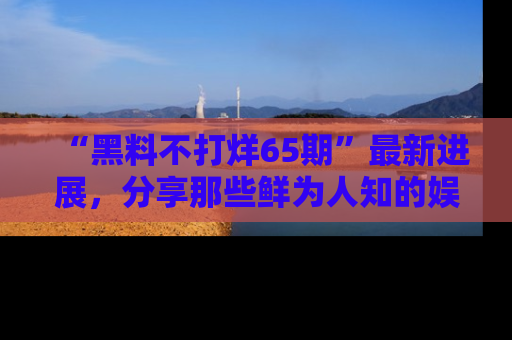 “黑料不打烊65期”最新进展,分享那些鲜为人知的娱乐八卦