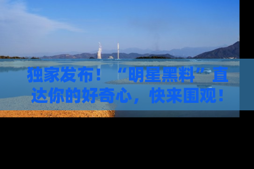 独家发布！“明星黑料”直达你的好奇心，快来围观！