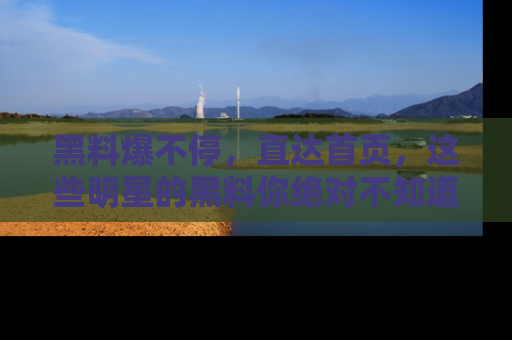 黑料爆不停，直达首页，这些明星的黑料你绝对不知道！