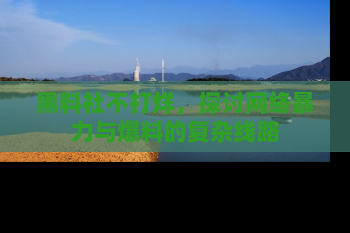 黑料社不打烊，探讨网络暴力与爆料的复杂线路