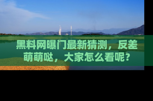 黑料网曝门最新猜测，反差萌萌哒，大家怎么看呢？