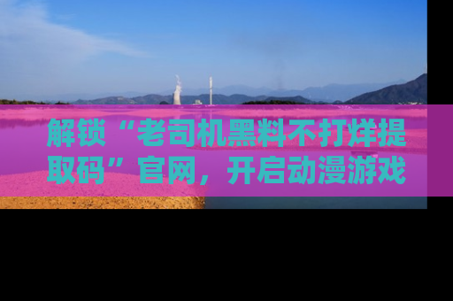 解锁“老司机黑料不打烊提取码”官网，开启动漫游戏的新次元之旅！