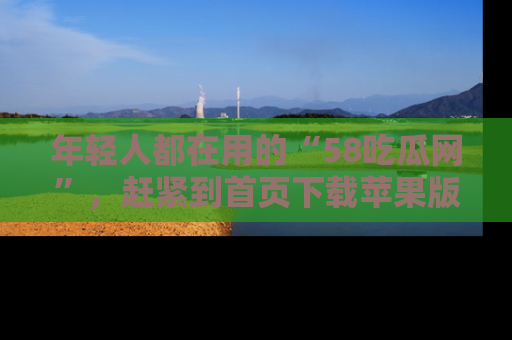 年轻人都在用的“58吃瓜网”，赶紧到首页下载苹果版吧！