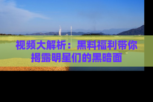视频大解析：黑料福利带你揭露明星们的黑暗面