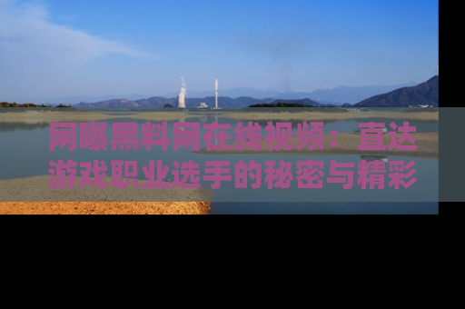 网曝黑料网在线视频:直达游戏职业选手的秘密与精彩动漫片段!