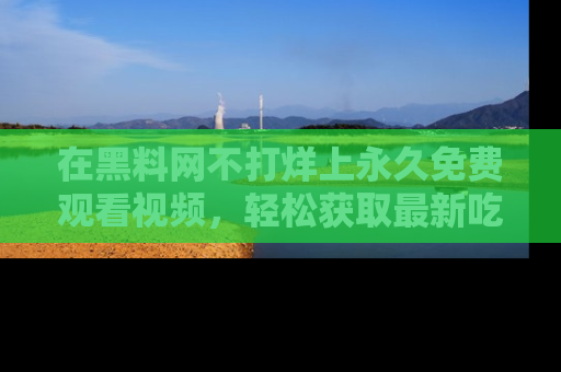 在黑料网不打烊上永久免费观看视频，轻松获取最新吃瓜资讯！