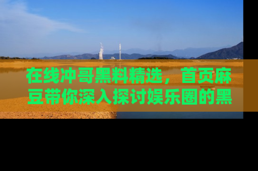 在线冲哥黑料精选，首页麻豆带你深入探讨娱乐圈的黑暗面