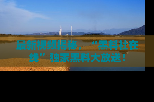 最新视频揭秘,“黑料社在线”独家黑料大放送!